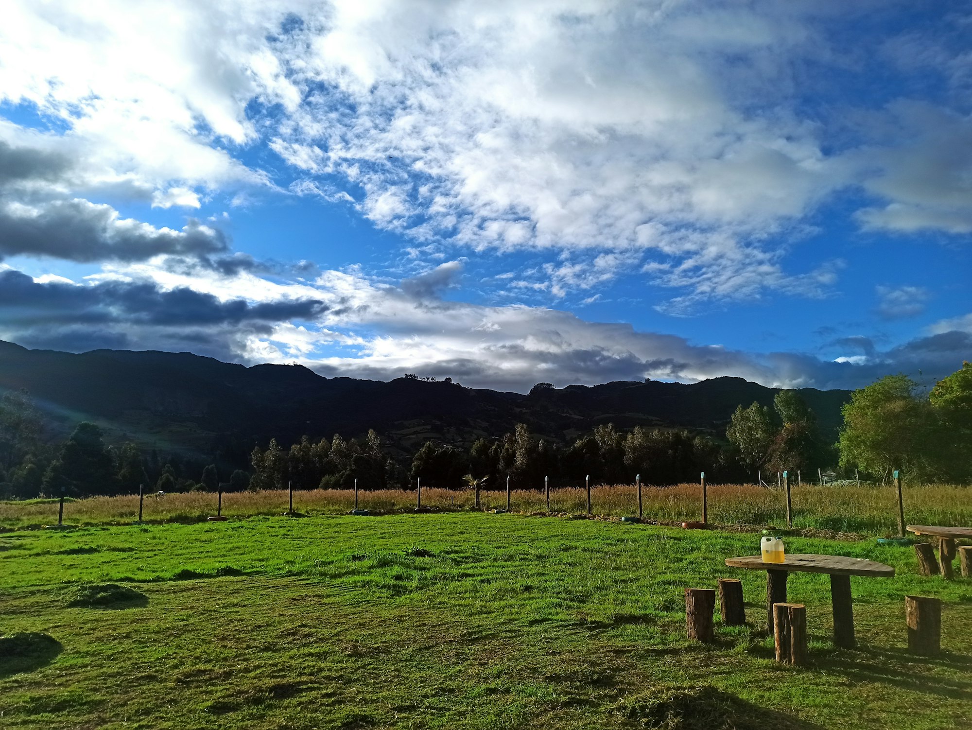 terrain pour ferme solaire