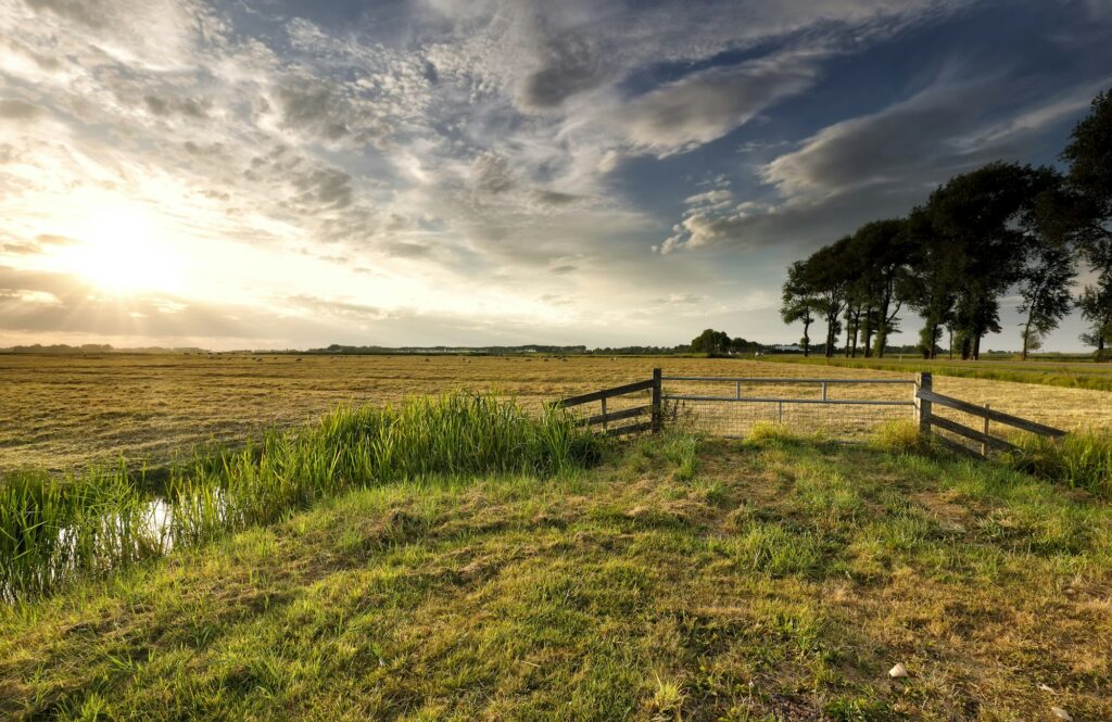 sunlight over Dutch farmland in summer