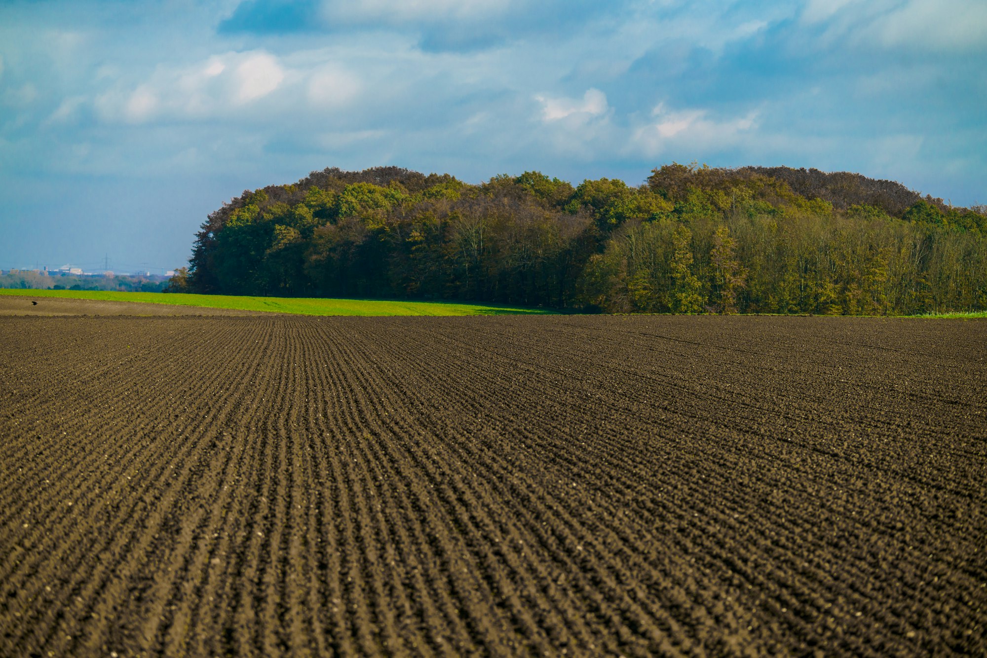 Agriculture concept. Landscape with agricultural land.